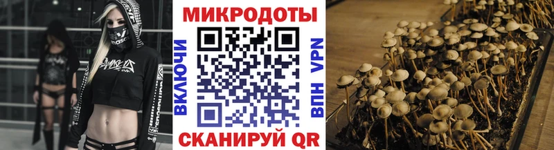 Псилоцибиновые грибы мицелий  цена наркотик  Чита 