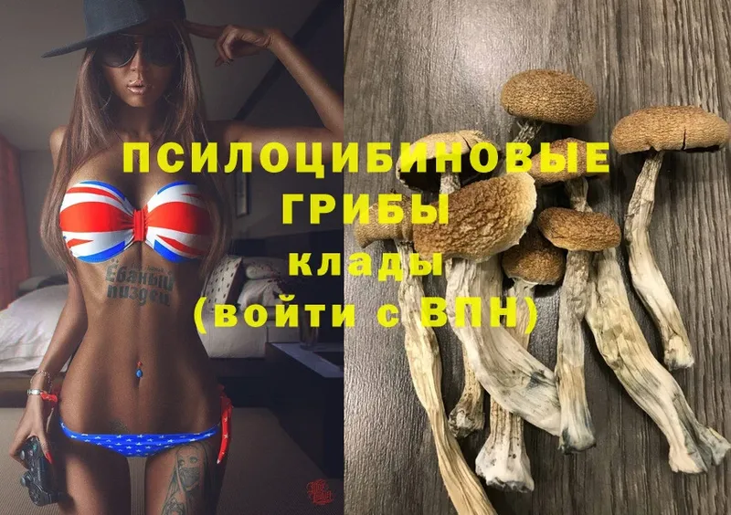 Галлюциногенные грибы MAGIC MUSHROOMS  Чита 